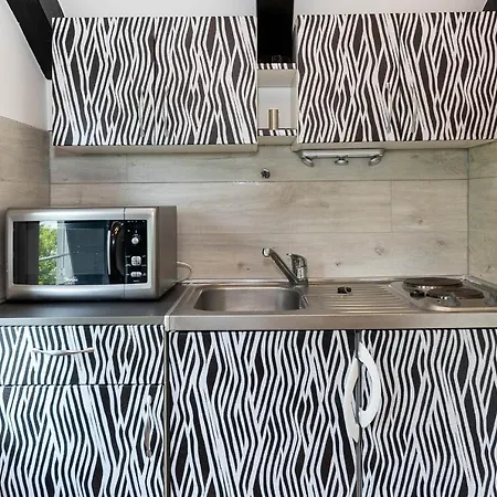 דירה App House Lea Renovated In 2021 נובי ווינודולסקי